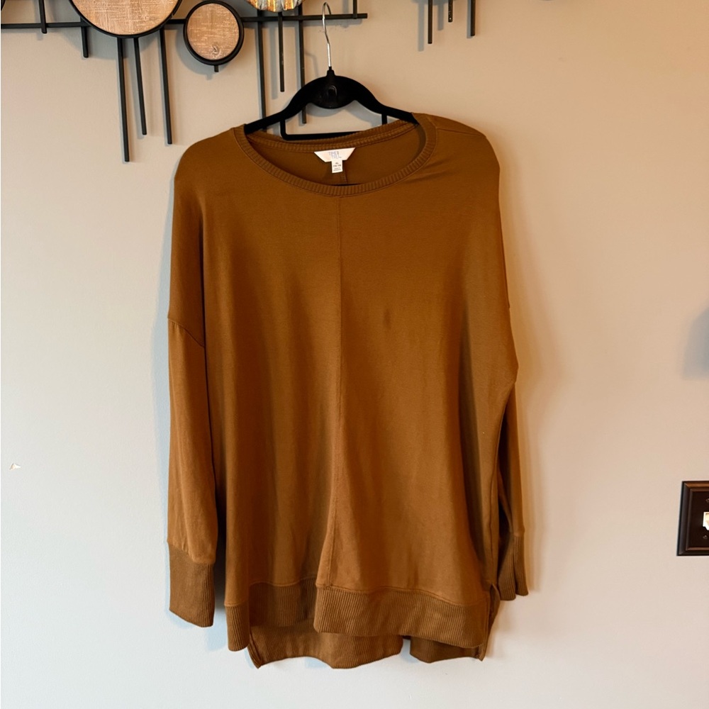 Time and Tru Women's Brown Soft Thin Sweater